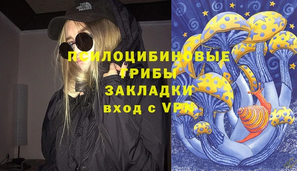 a pvp Алексин