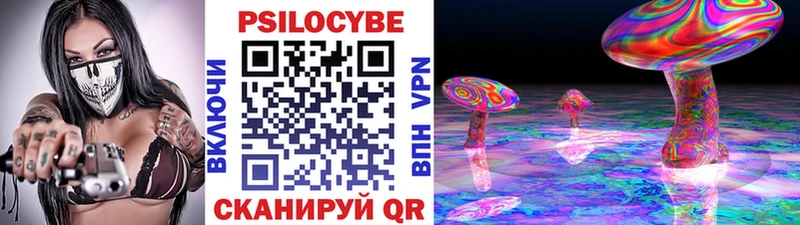 shop какой сайт  Анива  Галлюциногенные грибы мухоморы 